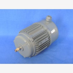 AC Motor, 0.16 KW, 230 V, 1-phase (New)